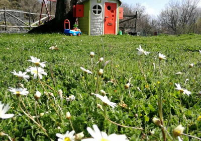 Agriturismo Dimora storica Viola Nel Parco